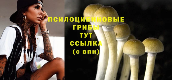 стафф Балахна